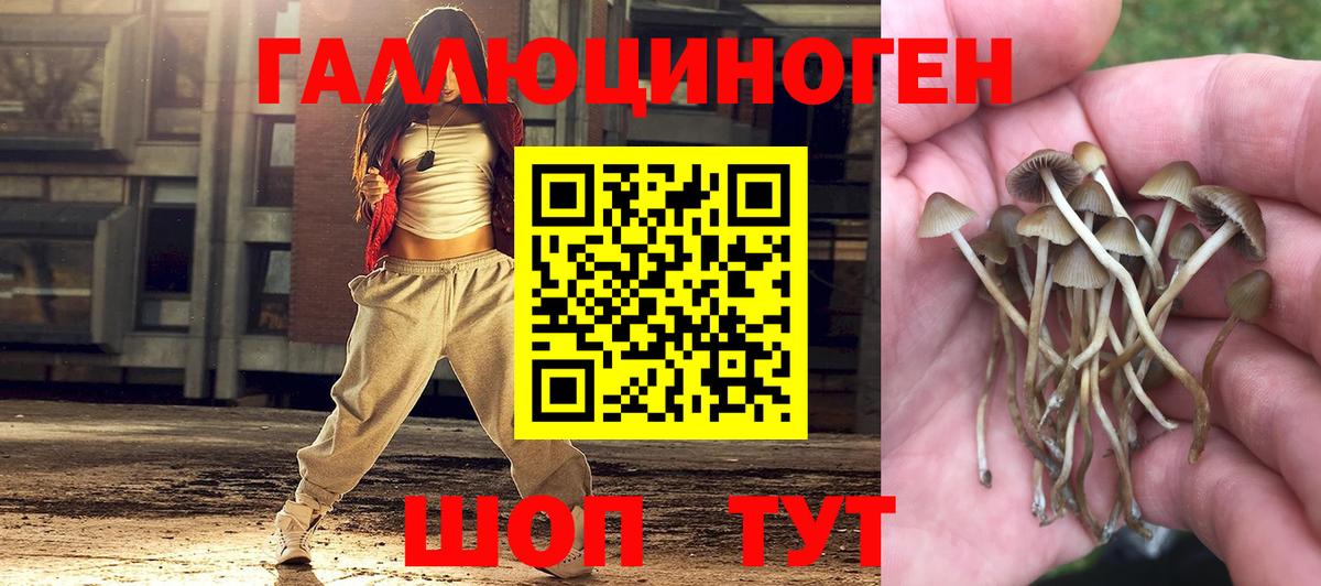 Псилоцибиновые грибы прущие грибы  Вход с VPN  Алексин 