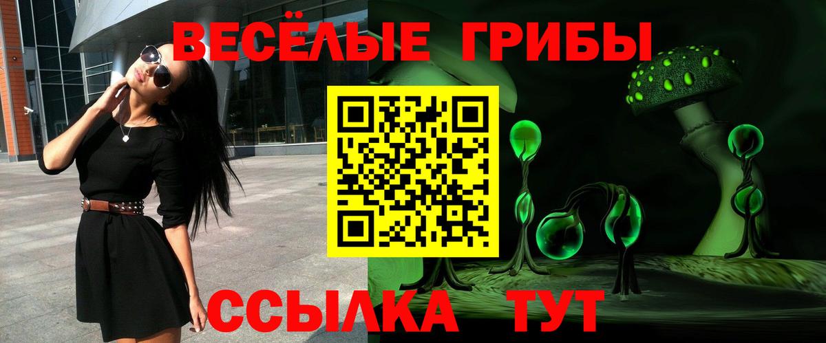 Галлюциногенные грибы Psilocybine cubensis Алексин